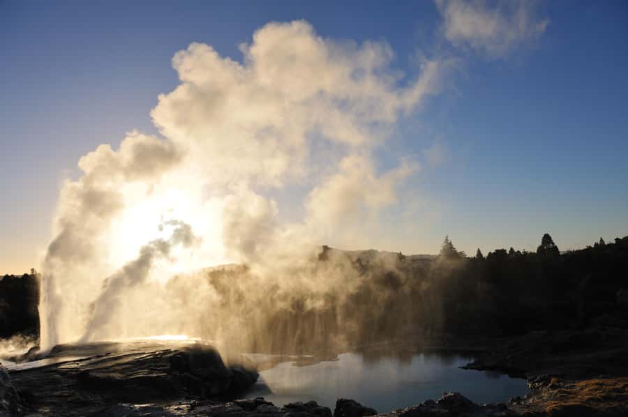 From Auckland: Rotorua Te Puia, Haka & Polynesian Spa Tour - Te Puia: geysers, mud pools, and guided Māori context