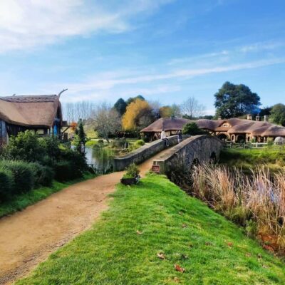 From: Auckland: Rotorua via Hobbiton Tour One Way Tour - The Waikato drive: efficient stops plus real sheep-farm scenery