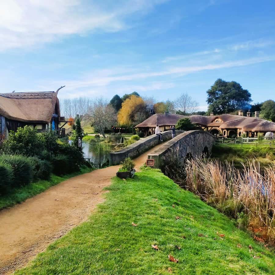 From: Auckland: Rotorua via Hobbiton Tour One Way Tour - The Waikato drive: efficient stops plus real sheep-farm scenery