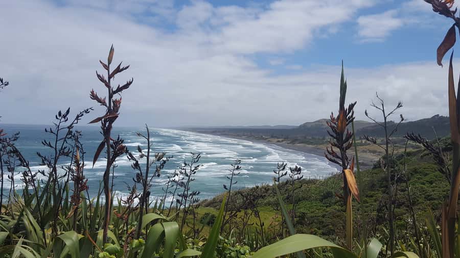 From Auckland: Small Group Kumeu Wine Tour with Lunch - West Brook Winery: a scenic end with varietal-focused wines