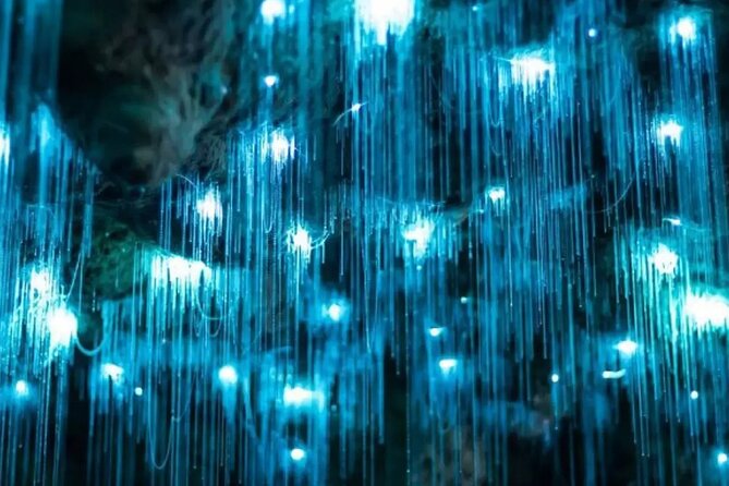 From Auckland: Spellbound, Waitomo Glowworm Cave Small Group Tour - Getting Back to Auckland: Plan for Traffic, Not Just Drive Time