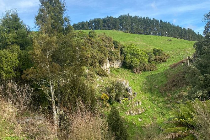 From Auckland: Spellbound, Waitomo Glowworm Cave Small Group Tour - Weather and Cave Changes: The One Thing You Can’t Control