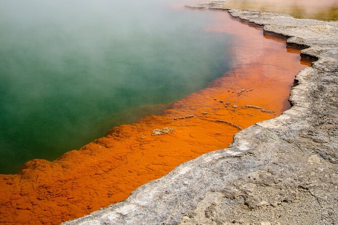 From Auckland to Rotorua Waiotapu and Activity Combinations - Lady Knox Geyser: short visit, big dramatic moment