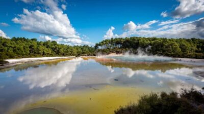 From Auckland: Wai-O-Tapu & Polynesian Spa Rotorua Day Tour - Wai-O-Tapu thermal wonderland: steam, sulfur smell, and a 18 sq km system