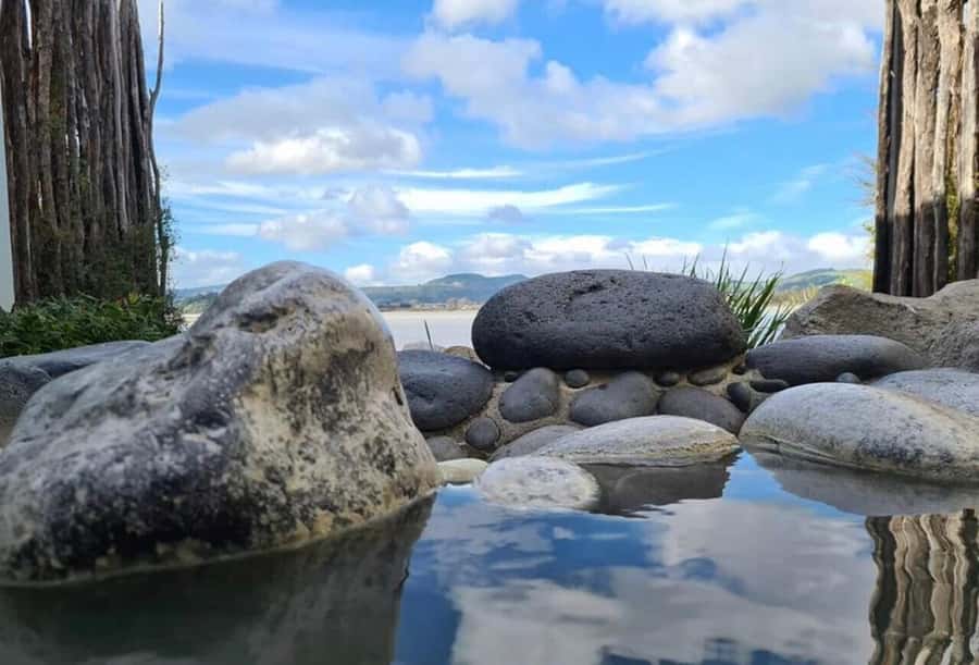 From Auckland: Wai-O-Tapu & Polynesian Spa Rotorua Day Tour - Who this tour fits best