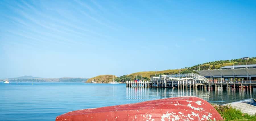From Auckland: Waiheke Island Wineries' Tour - From Auckland to Waiheke in One Day: Why This Works