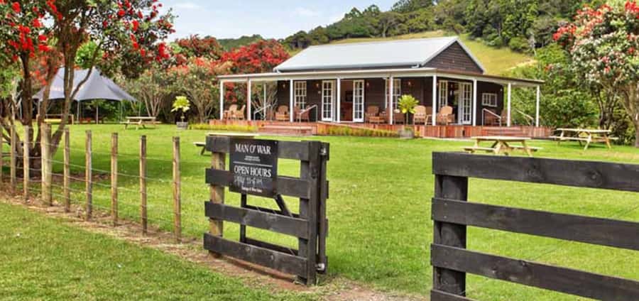 From Auckland: Waiheke Island Wineries' Tour - Lunch Break on Waiheke: Your 1.5 Hours to Eat and Recharge