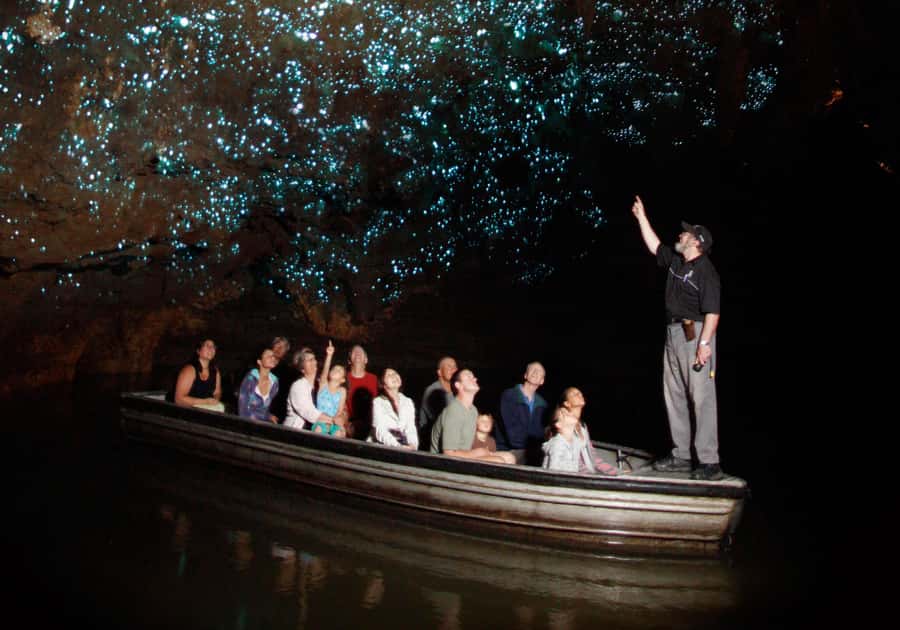 From Auckland: Waitomo Caves and Kiwi House Group Tour - Key things I’d circle before you book