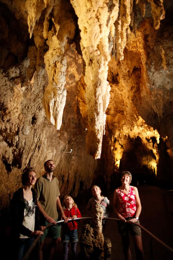 From Auckland: Waitomo Caves and Kiwi House Group Tour - Timing and pace: what the day feels like hour by hour