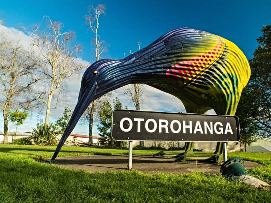 From Auckland: Waitomo Caves and Kiwi House Group Tour - Should you book this tour?