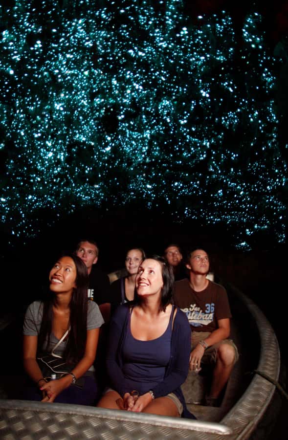 From Auckland: Waitomo Caves and Kiwi House Group Tour - Waitomo Glowworm Caves: the boat ride and the facts that make it click