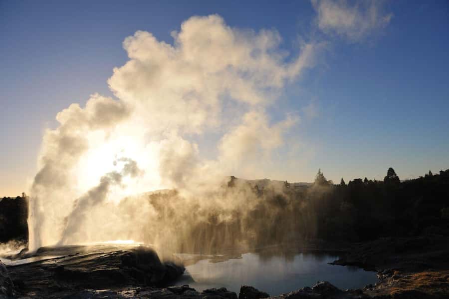 From Auckland: Waitomo Glow Worm Caves & Rotorua Tour - Key tour takeaways