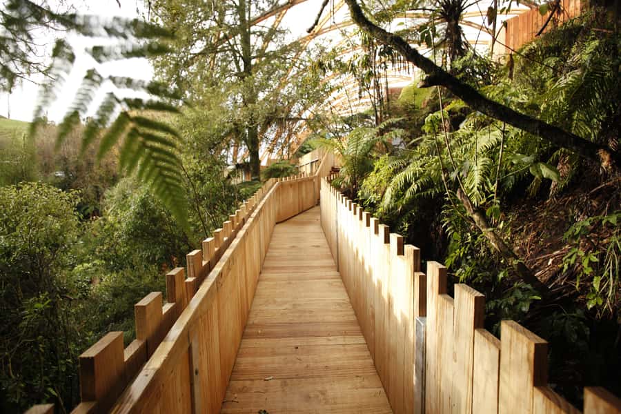 From Auckland: Waitomo Glowworm and Ruakuri Caves Day Tour - Should you book this tour?