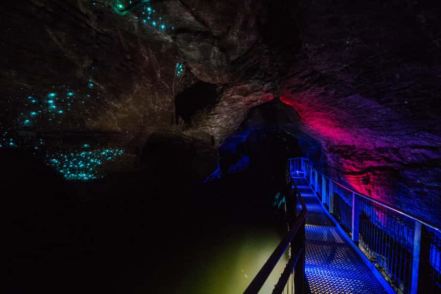 From Auckland: Waitomo Glowworm and Ruakuri Caves Day Tour - The day’s rhythm: breaks, photo stops, and not running on fumes