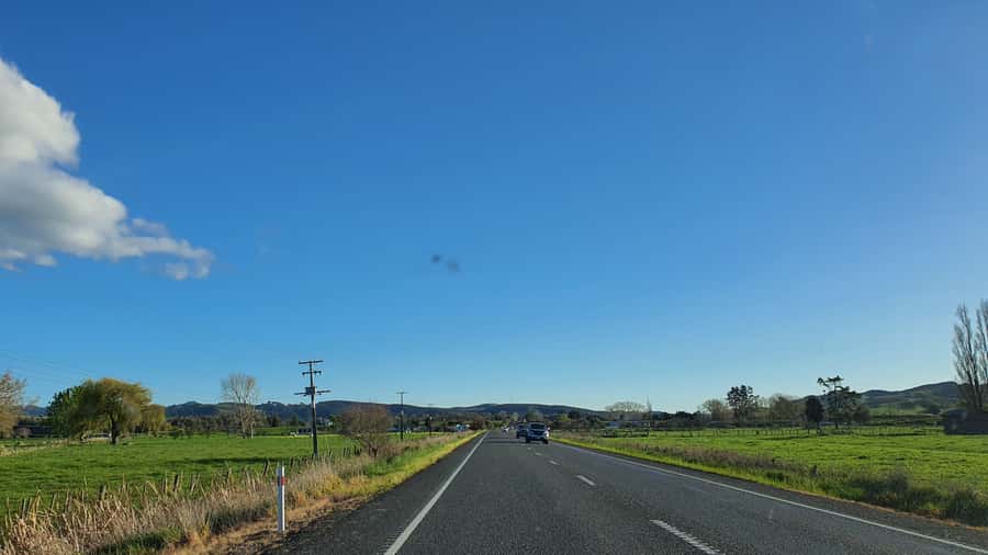 From Auckland: Waitomo Glowworm Cave Tour - Key highlights worth carving out time for