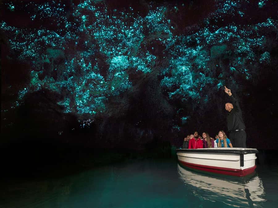 From Auckland: Waitomo Glowworm Cave Tour - Walking the cave: stalactites, stalagmites, and a real sense of place