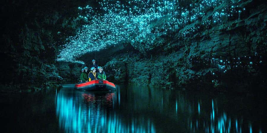 From Auckland: Waitomo Glowworm Cave Tour - Getting there in an air-conditioned vehicle from Auckland CBD
