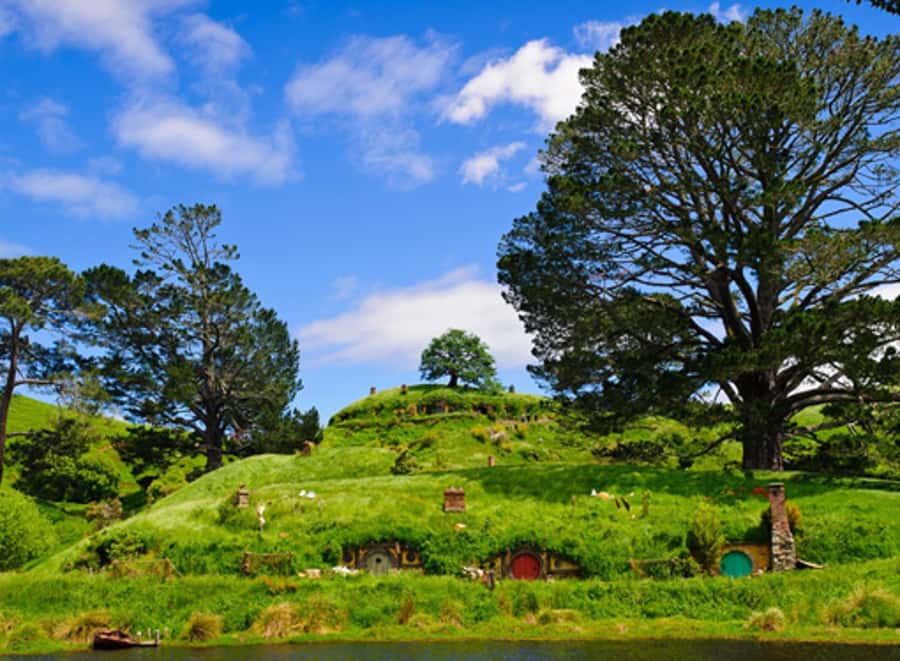 From Auckland: Waitomo & Hobbiton Bus Tour with Lunch - How the Full Day Works From Auckland (Start at 100 Hobson Street)