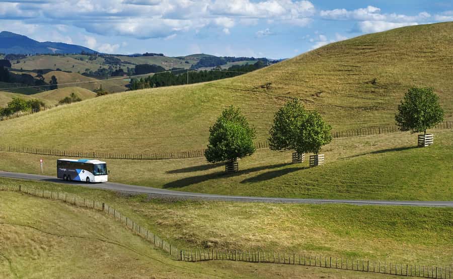 From Auckland: Waitomo & Hobbiton Bus Tour with Lunch - Price and Value: Is $261 a Smart Use of a Day?