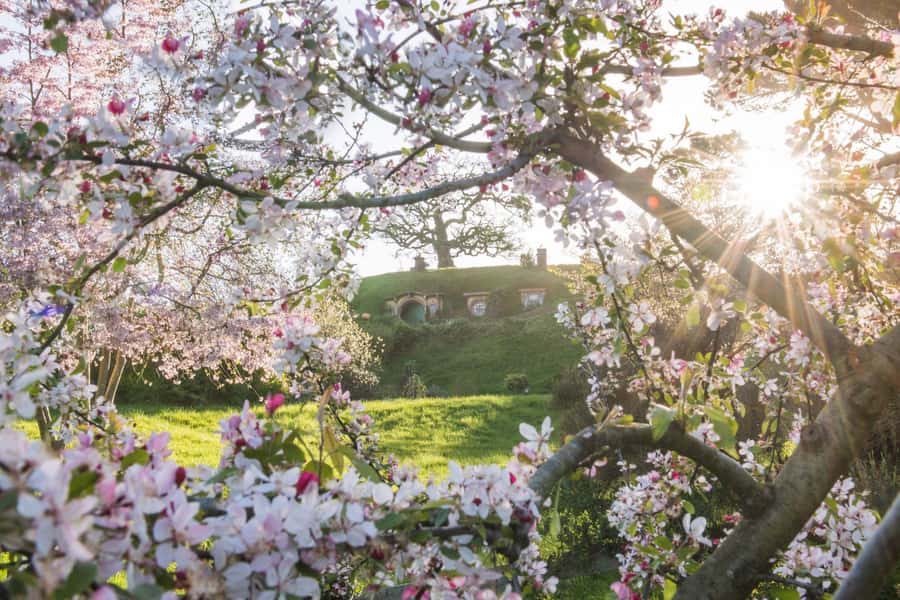 From Matamata: Guided Hobbiton Experience with Bus Transfers - Price and value: why $71 can feel fair (or not)