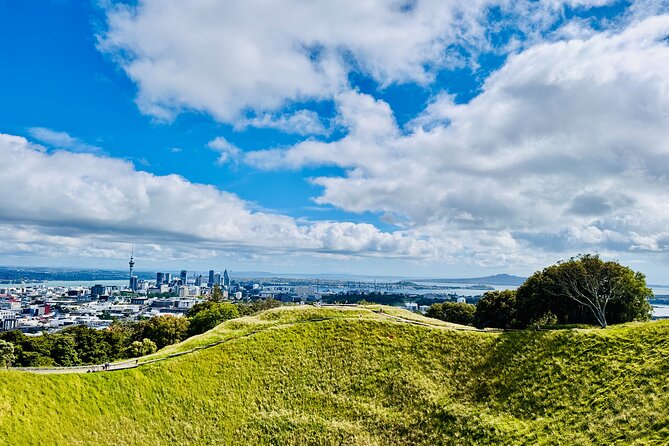 Full-Day Auckland Discovery - Key highlights you should care about