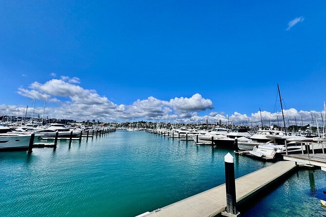 Full-Day Auckland Discovery - Mission Bay’s MJ Savage Memorial Park: gardens plus wide water views