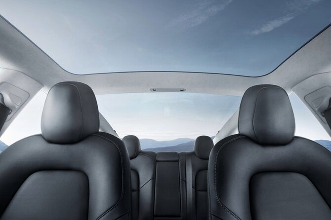 Full-Day Driver with Tesla Car-Customisable North Island Tour - Putaruru Blue Spring: Quick, Fresh, and Free