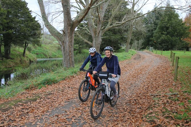 Full Day Ebike Tour in Karangahake Gorge (ex Auckland) - From Auckland to Waikino: A Day That Starts Easy