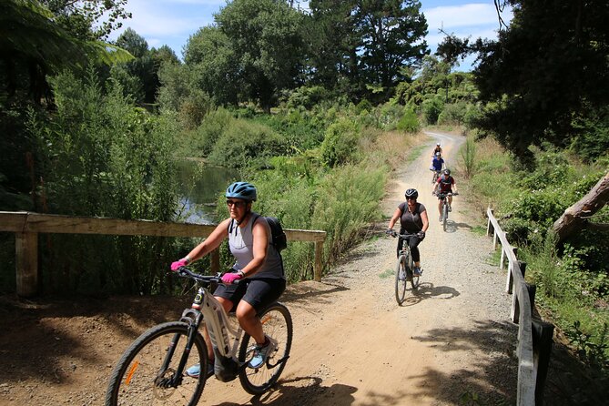 Full Day Ebike Tour in Karangahake Gorge (ex Auckland) - Waihi Martha Mine Pit Rim: The Guided View That Makes It Click