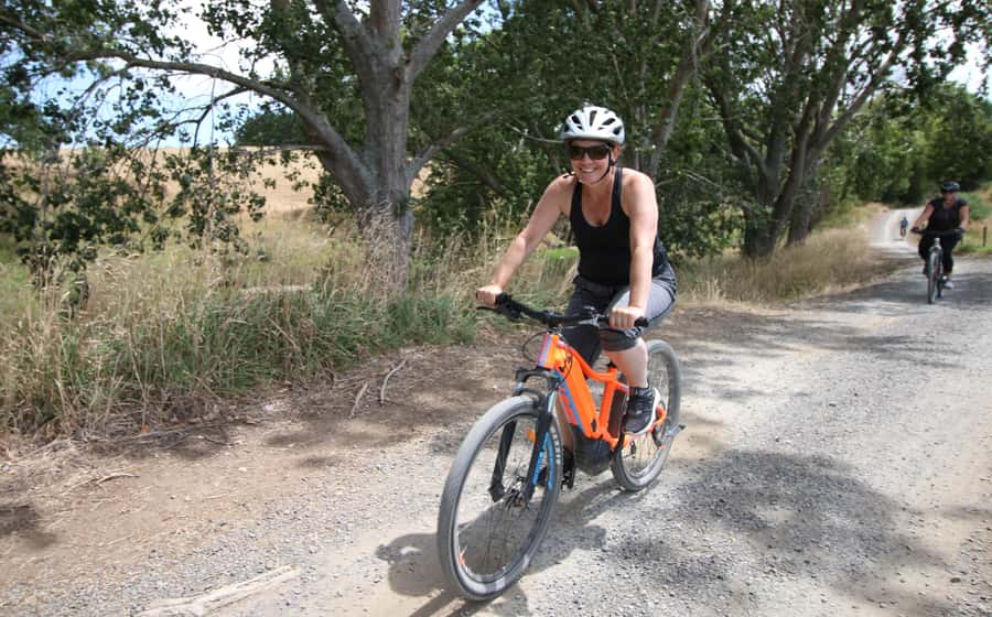 Full Day Ebike Tour - Karangahake Gorge NZ - Key highlights you’ll actually notice