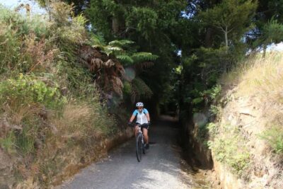 Full Day Ebike Tour - Karangahake Gorge NZ - Getting on the bike: what “beginner-friendly” really means here
