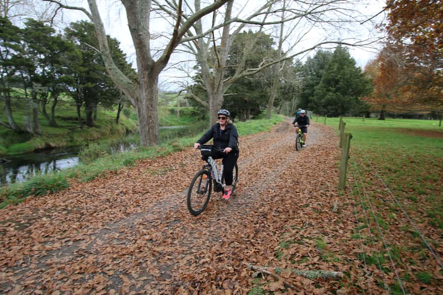 Full Day Ebike Tour - Karangahake Gorge NZ - Lunch at Waikino: more than a break, it’s part of the rhythm