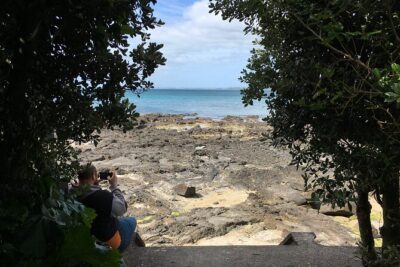 Full-Day Grand Auckland Volcanoes Tour - Mt Wellington and Mangere Mountain craters: the walking part that pays off