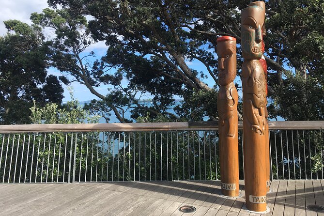 Full-Day Grand Auckland Volcanoes Tour - What to expect on the ground: walking level, timing, and comfort