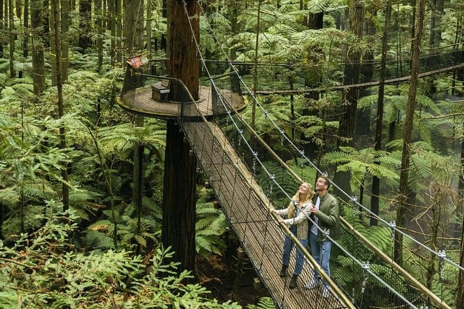FULL DAY ROTORUA TOUR - Fully Customisable 13 hours Unlimited KMS - Private Luxury Car Plus Unlimited Kilometres: What You’re Really Paying For