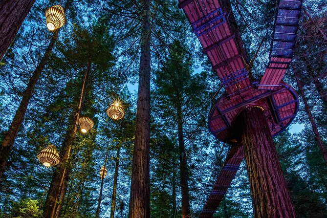 FULL DAY ROTORUA TOUR - Fully Customisable 13 hours Unlimited KMS - How the 13-Hour Days Work (And Why Drive Time Changes Everything)