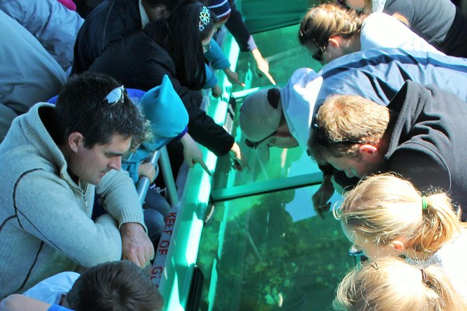 Glass Bottom Boat Tour - Key things that make this boat tour worth your time