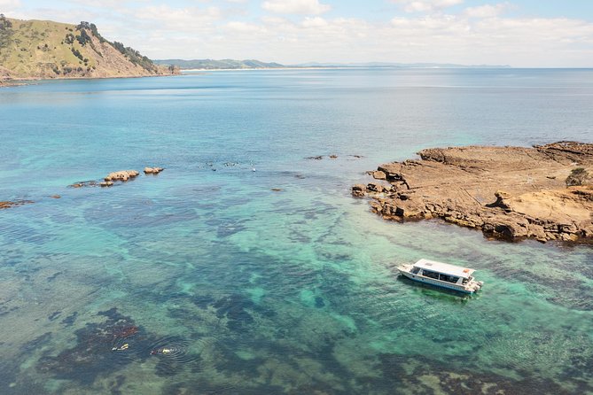 Glass Bottom Boat Tour - Goat Island Marine Reserve by glass-bottom boat near Auckland