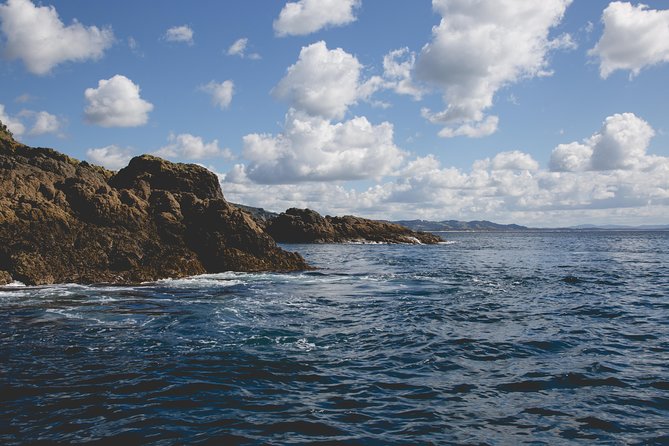Glass Bottom Boat Tour - Price and value: is $31.83 a good deal?