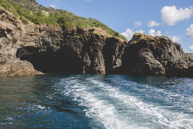 Glass Bottom Boat Tour - Licensed guide, group size, and what that means on the water