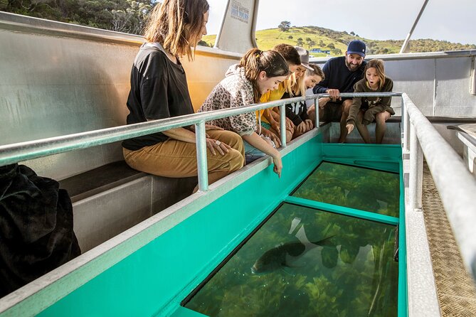 Glass Bottom Boat Tour - Stop 1: What you can realistically see in the reserve