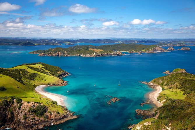 Group tour to Bay of Islands return from Auckland - Guides, Group Size, and the Small-Group Feel (Up to 19)