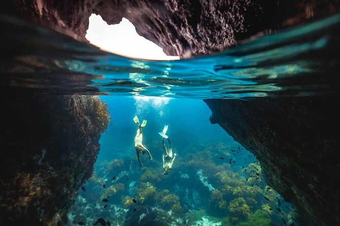 Guided Snorkeling and Island Exploration in Auckland - Key things to know before you go