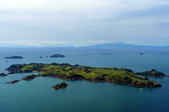 Guided Snorkeling and Island Exploration in Auckland - Tiritiri Matangi: Auckland’s wildlife sanctuary, timed for real fun