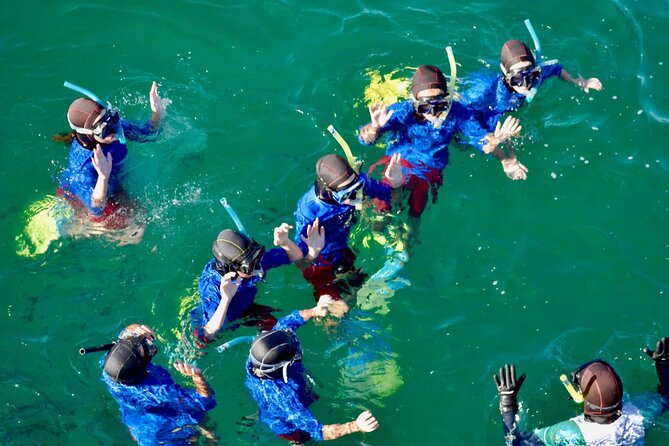 Guided Snorkeling and Island Exploration in Auckland - The island walk: more than a stroll, more than a photo stop