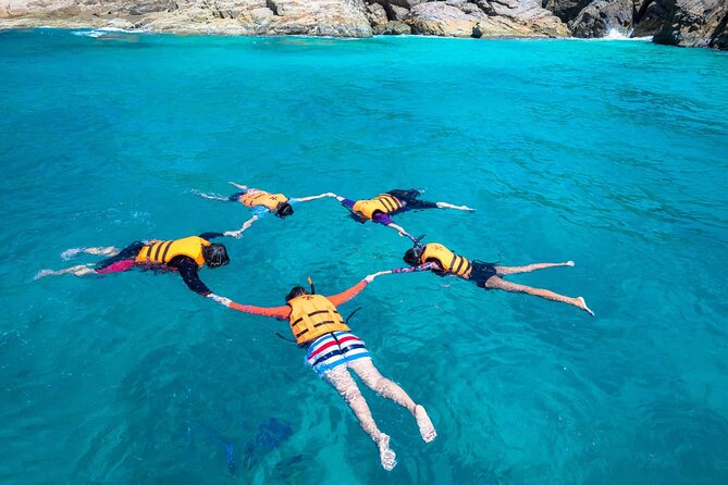 Guided Snorkeling and Island Exploration in Auckland - What to expect once you meet at Tiritiri Matangi Wharf
