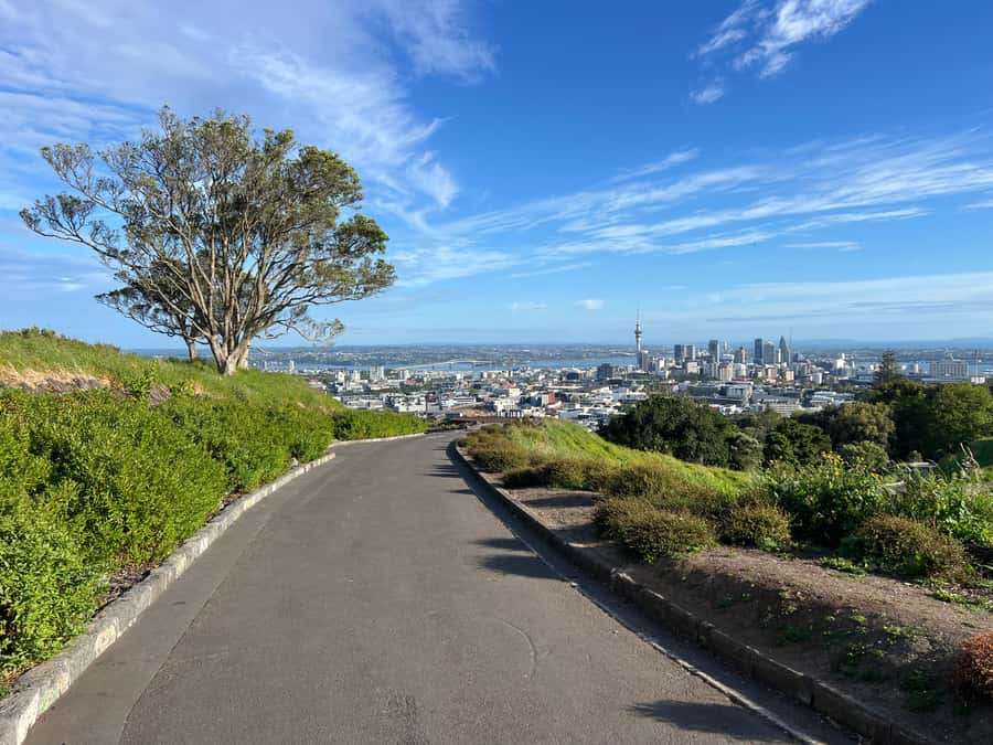 Half-Day Auckland City Highlights Tour with Hotel Pickup - Key takeaways