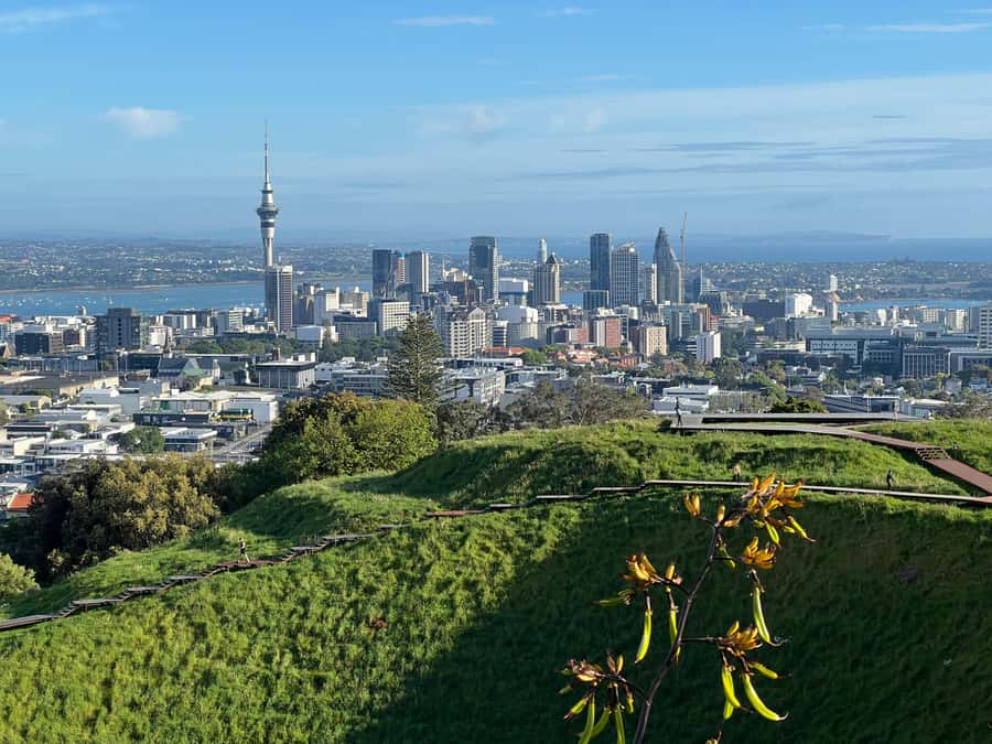 Half-Day Auckland City Highlights Tour with Hotel Pickup - Harbour Bridge, Sky Tower, and Westhaven Marina views