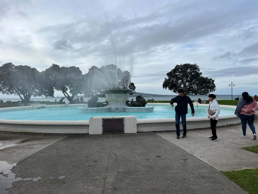 Half-Day Auckland City Highlights Tour with Hotel Pickup - Mount Eden versus Achilles Point: two ways to see the same city