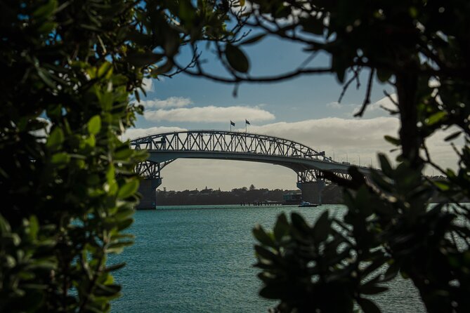 Half-day Discover Auckland City Sightseeing Tour - Key things that make this tour worth your time